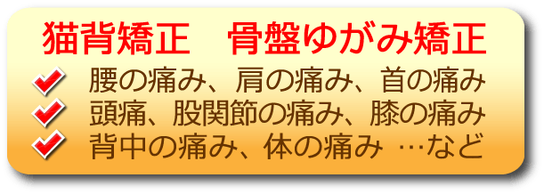 淀川区 塚本 整体 整骨院 適応症例